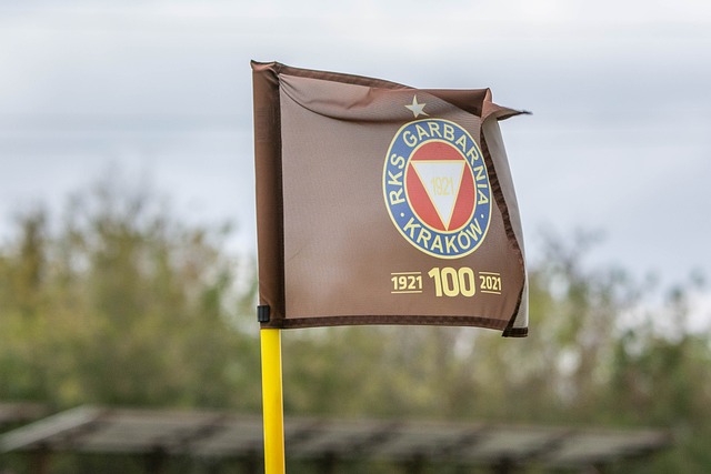 奧爾莫將正 奧爾莫將正