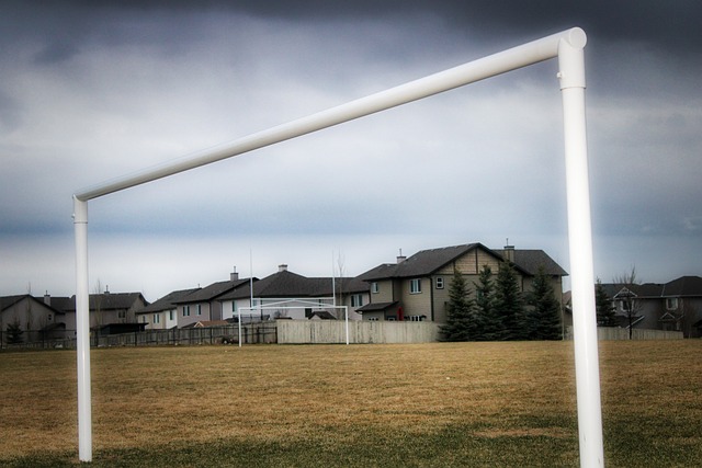 火的救世主 火的救世主